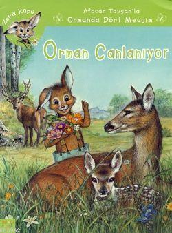 Afacan Tavşanla Ormanda Dört Mevsim - Orman Canlanıyor | benlikitap.co