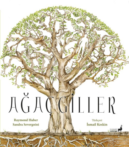 Ağaçgiller | benlikitap.com