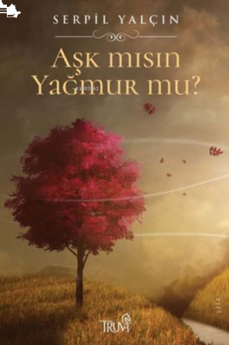 Aşk mısın Yağmur mu? | benlikitap.com