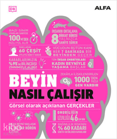 Beyin Nasıl Çalışır | benlikitap.com