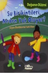 Doğanın Düzeni Su Birikintileri Neden Yok Oluyor? | benlikitap.com