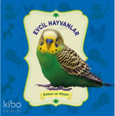 Evcil Hayvanlar – Dokun Ve Hisset | benlikitap.com