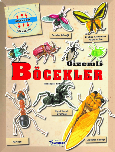 Gizemleri Öğrenelim - Gizemli Böcekler | benlikitap.com