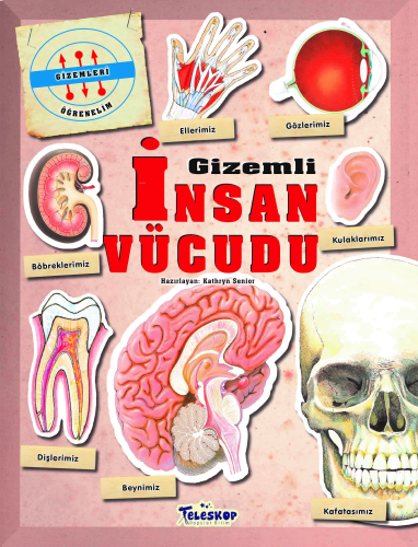 Gizemleri Öğrenelim - Gizemli İnsan Vücudu | benlikitap.com