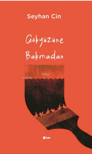 Gökyüzüne Bakmadan | benlikitap.com