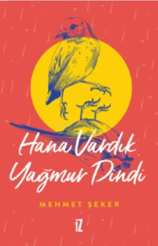 Hana Vardık Yağmur Dindi | benlikitap.com