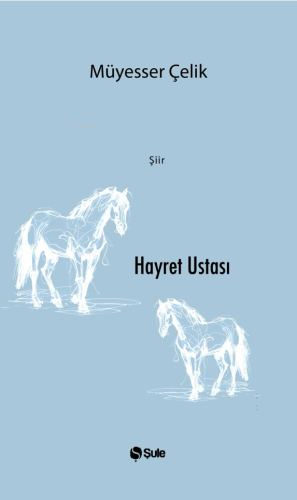 Hayret Ustası | benlikitap.com