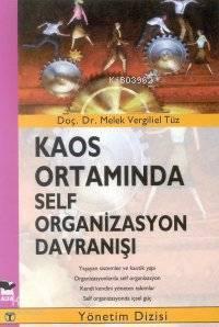 Kaos Ortamında Self Organizasyon Davranışı | benlikitap.com