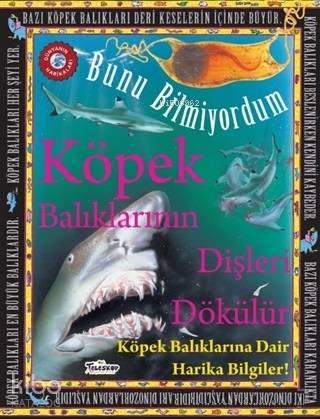 Köpek Balıklarının Dişleri Dökülür - Bunu Bilmiyordum Köpek Balıkların