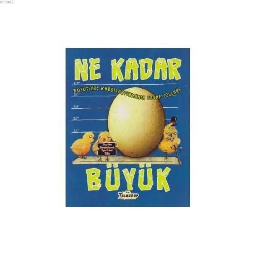 Ne Kadar Büyük Boyutları Karşılaştımanın Tuhaf Yolları | benlikitap.co