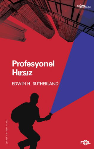 Profesyonel Hırsız | benlikitap.com