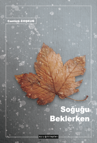 Soğuğu Beklerken | benlikitap.com