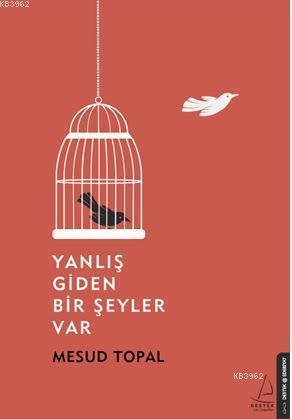 Yanlış Giden Bir Şeyler Var | benlikitap.com