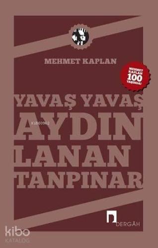 Yavaş Yavaş Aydınlanan Tanpınar | benlikitap.com