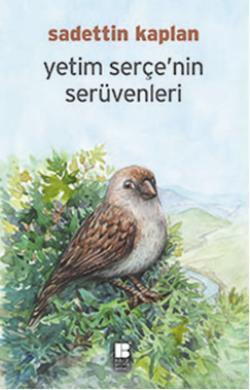 Yetim Serçe'nin Serüveni | benlikitap.com